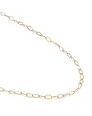 Chain Lynx