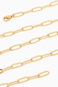 Chain Lynx