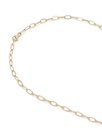 Chain Lynx