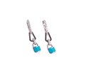 Padlock Earrings