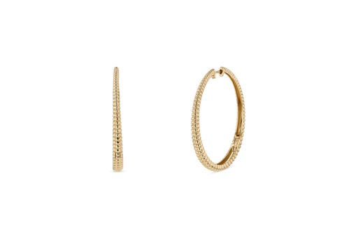 [EAR2755] Scarabless Earrings