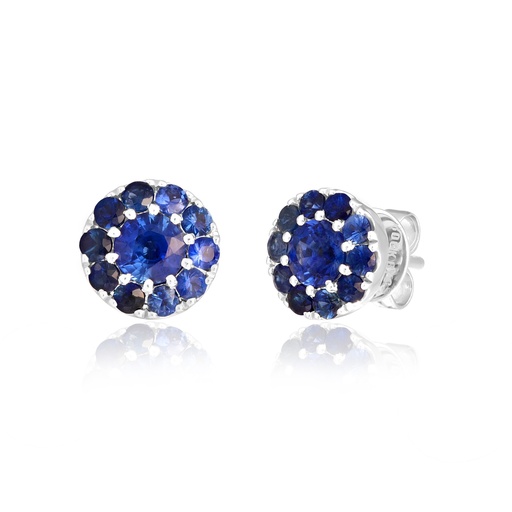 [EAR2758] Sapphire Stud Earrings